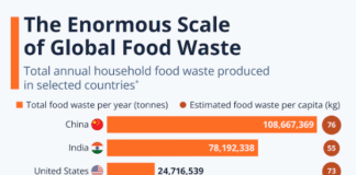 Food Waste and the FoodTekPack Conference on December 11 & 12