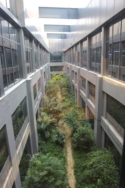 The enclosed forest at the Any Graphics plant in Greater Noida Photo PSA