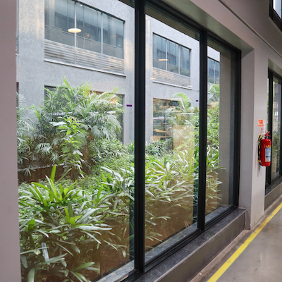 The enclosed forest open to the sky is a carbon sink Photo PSA