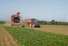 The upcycling business and sustainable food processing and packaging food