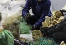 Oceanzyme investigates new enzymatic recycling solutions for marine litter Oceanzyme