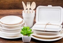 Fiber-based food packaging set to lead by 2045 packaging