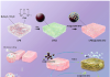 Kyushu University researchers develop self-repairing film with freshness indicator Kyushu
