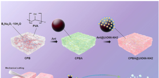 Fig.1. Conceptual illustration of a self-healing smart hydrogel By fixing a natural pigment onto a metal-organic framework, Kyushu University researchers developed a self-healing hydrogel that reliably signals spoilage through color change while extending food shelf life.